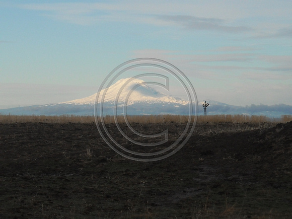 Oregon Landscapes  Mount Adams